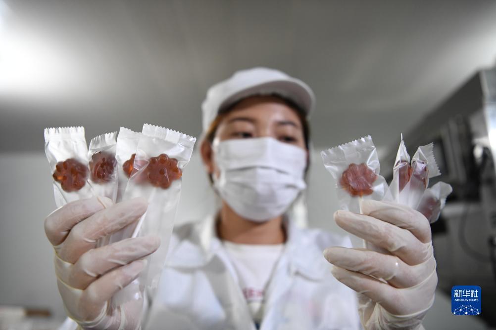 澳门一号游戏官网多少